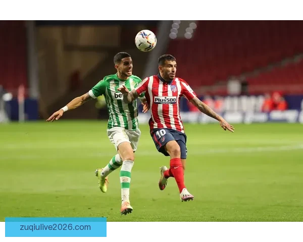 世界杯投注指南揭秘最全投注策略助你精准预测赛事结果