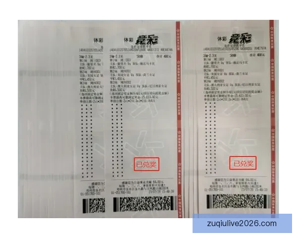 世界杯竞猜投注策略揭秘助你精准预测比赛结果提高中奖几率